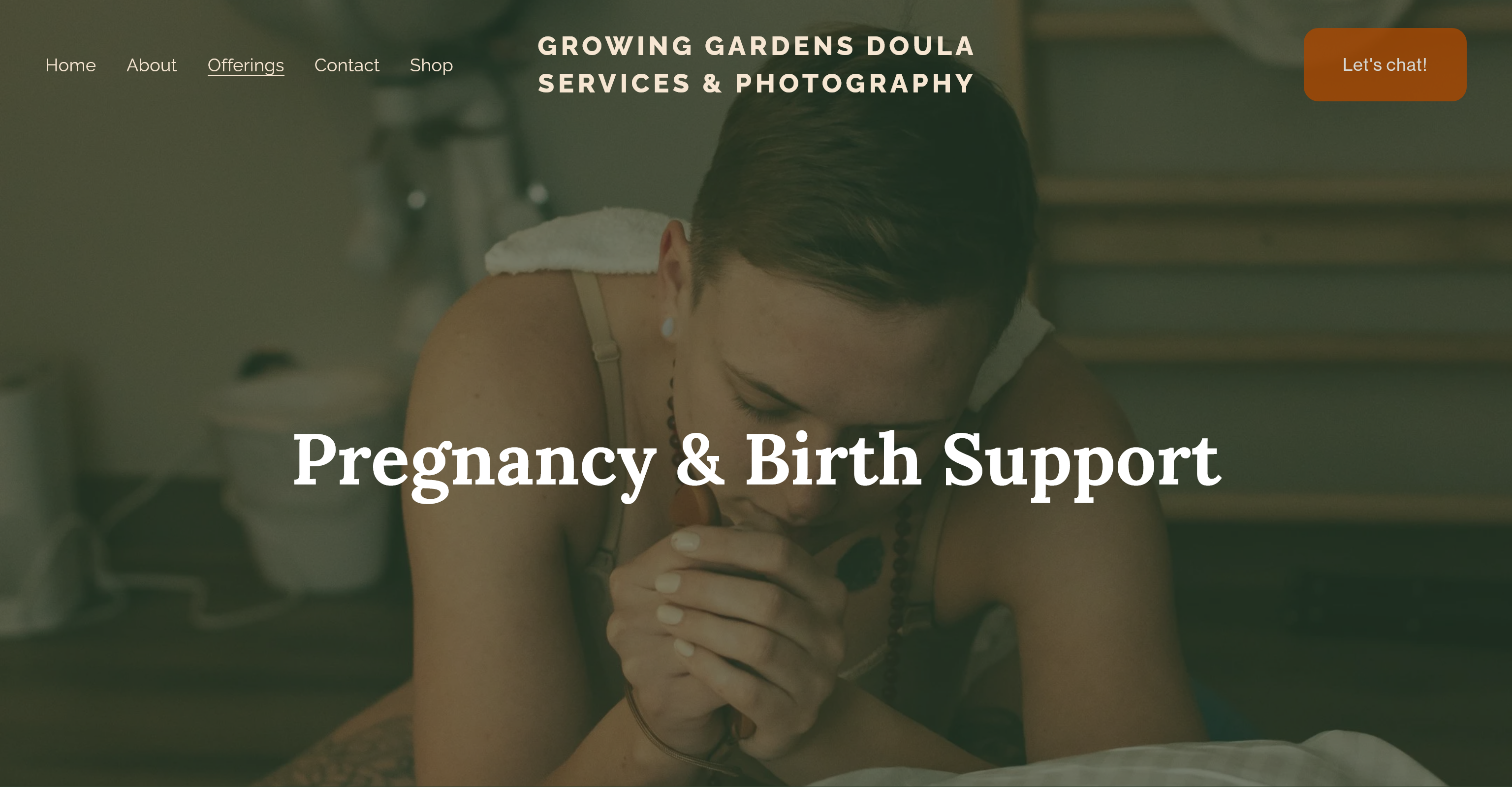 Screenshot of the "Pregnancy & Birth Support" page. This image includes one of the dolua's clients in labor